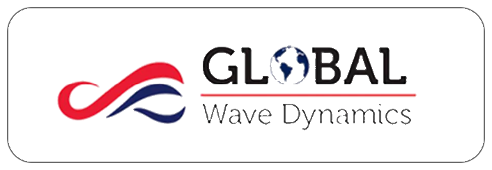 Global Wave Dynamics